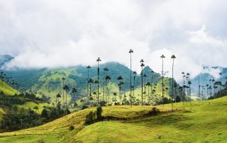 Landschapsfotografie
