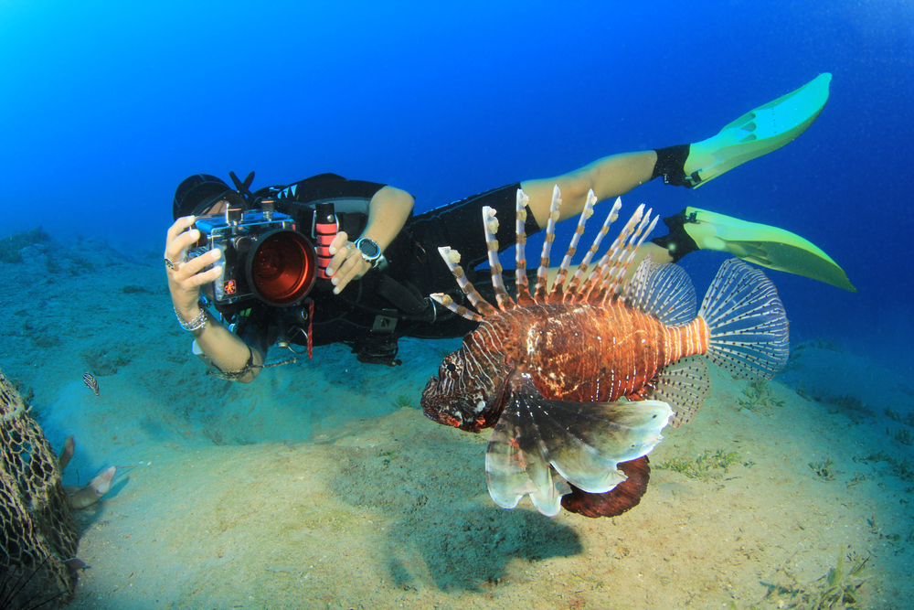 Een duiker die bezig is met onderwaterfotografie. Hij is onderwater een foto aan het maken van een tropische vis.