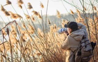 Een man in het riet die zijn hobby vogelfotografie aan het uitvoeren is.